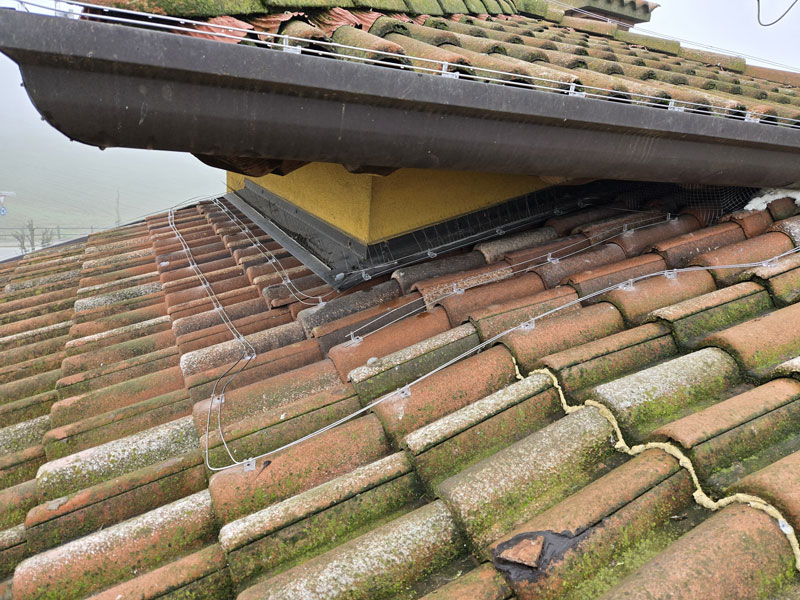 Impianto elettrostatico piccioni