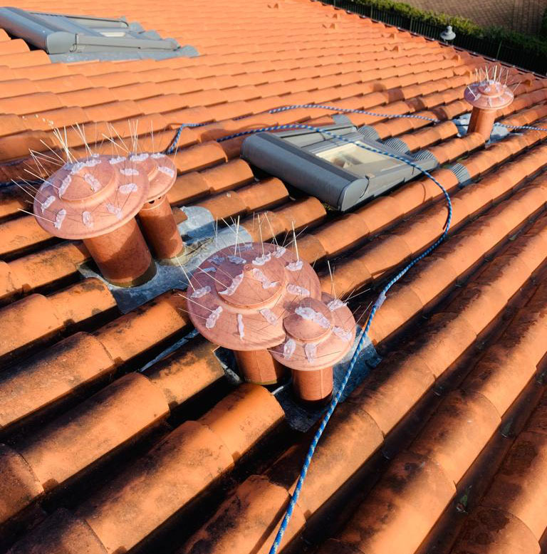 Dissuasori meccanici tetto