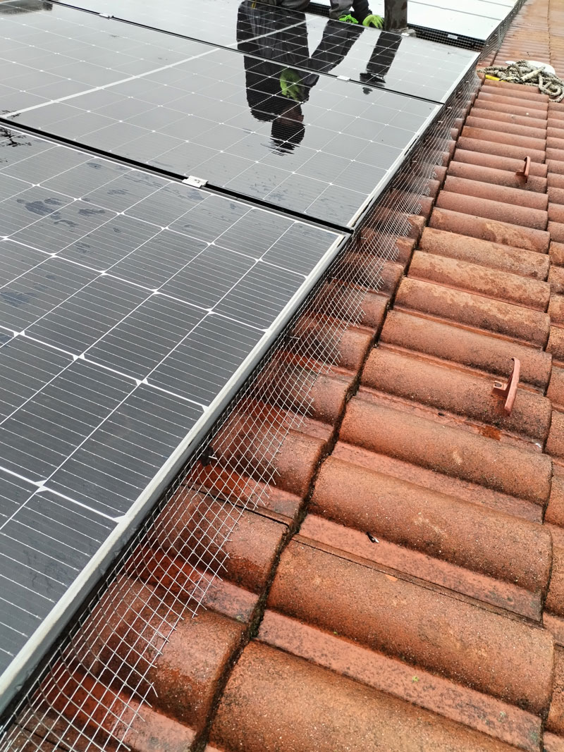 Pannelli fotovoltaici al sicuro dai volatili