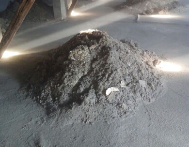 Mucchio di guano da smaltire